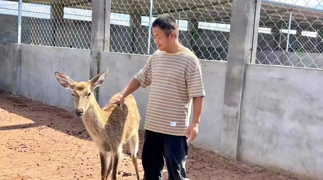 博易论坛